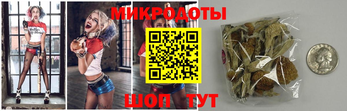 Псилоцибиновые грибы GOLDEN TEACHER Сокол